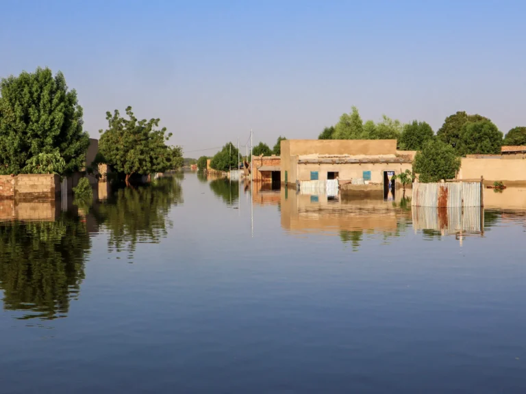 Sudan and Chad floods