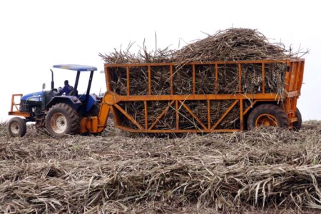 sugar imports Comesa and EAC