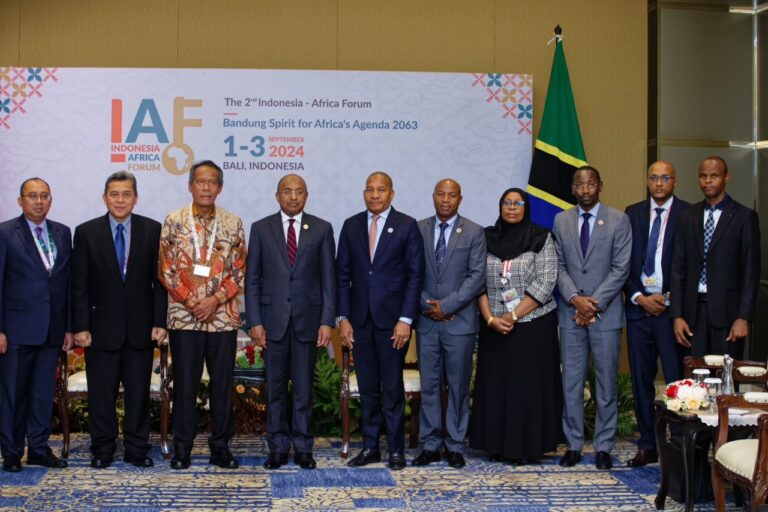 Africa-Indonesia investment cooperation