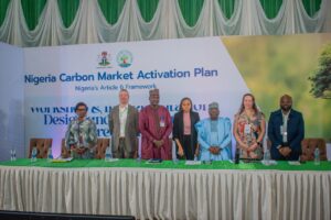 Carbon Credit Market