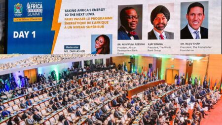 The World Bank Mission 300 energy summit has described Tanzania as a lighthouse and beacon for other African nations to follow when it comes to producing and distributing electricity to its people.