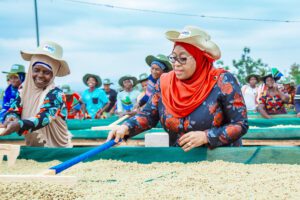commercial agriculture Tanzania