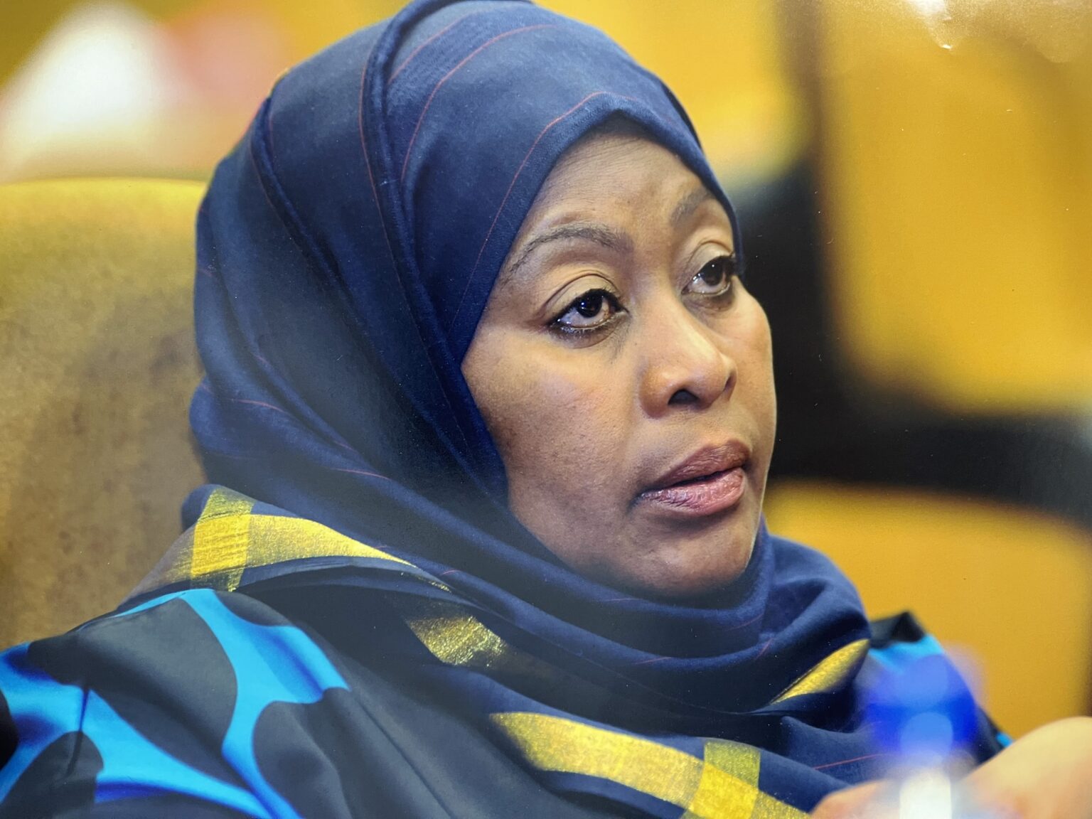 Tanzania’s Constitutional Crossroads: Promises Made During the Campaign, the Legacy of Reform, and Changing Politics IMG 4850 2 2