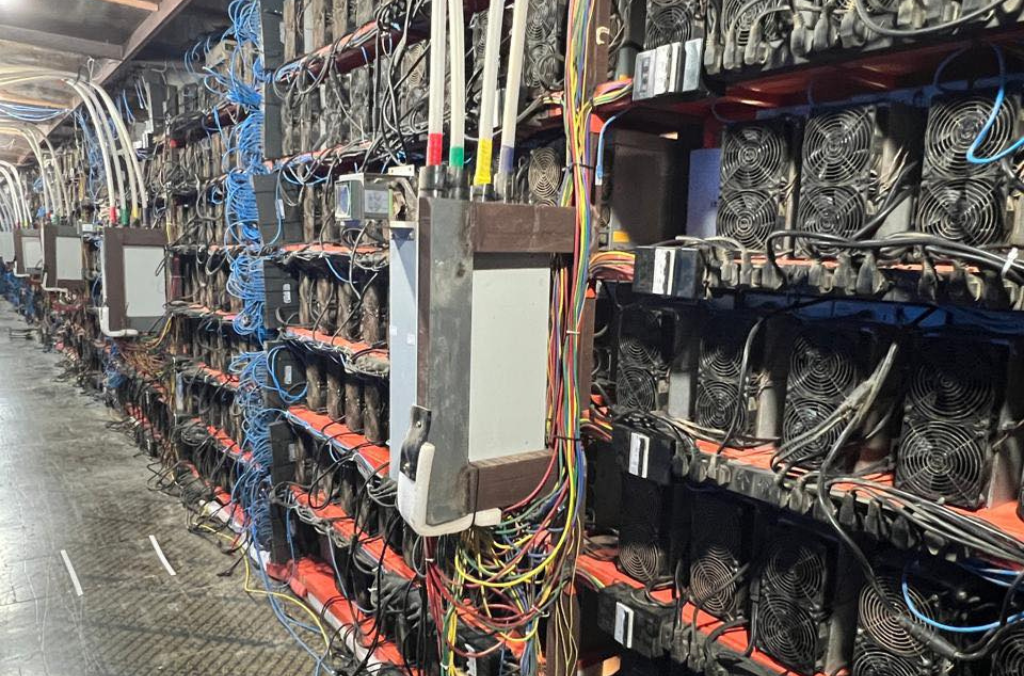 Interpol Africa cybercriminals