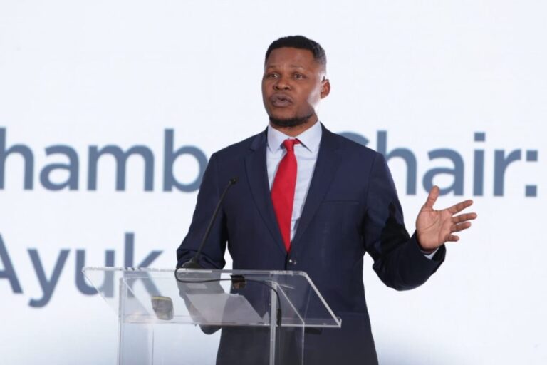 Africa's energy future