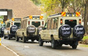 Uber Safari