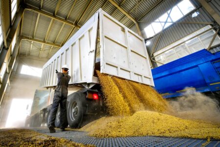 Inside Tanzania’s grains market, opportunities and challenges grains market in Tanzania