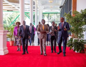 Singapore of Africa National Infrastructure Fund Sovereign Wealth Fund