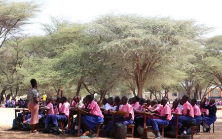 Africa's Moment Basic Education in Africa