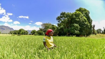 Food security Tanzania World Food Programme