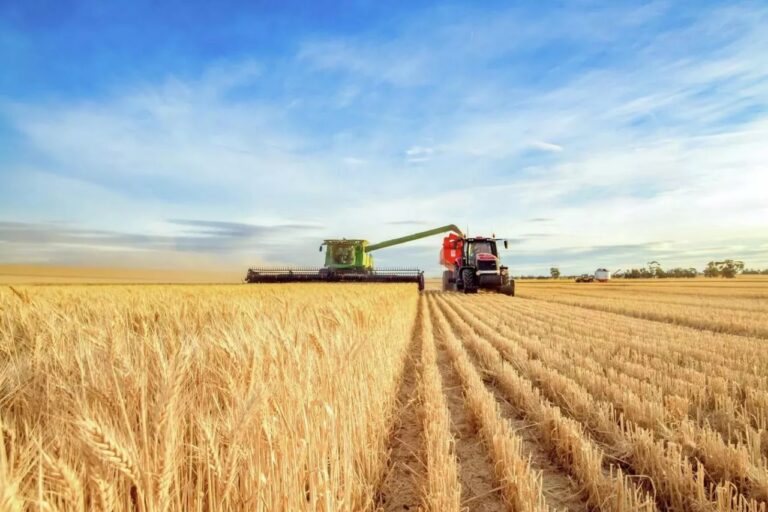 Tanzania eyes Belarusian tractor model and motor pools to unlock untapped farmland Tanzania and Belarus