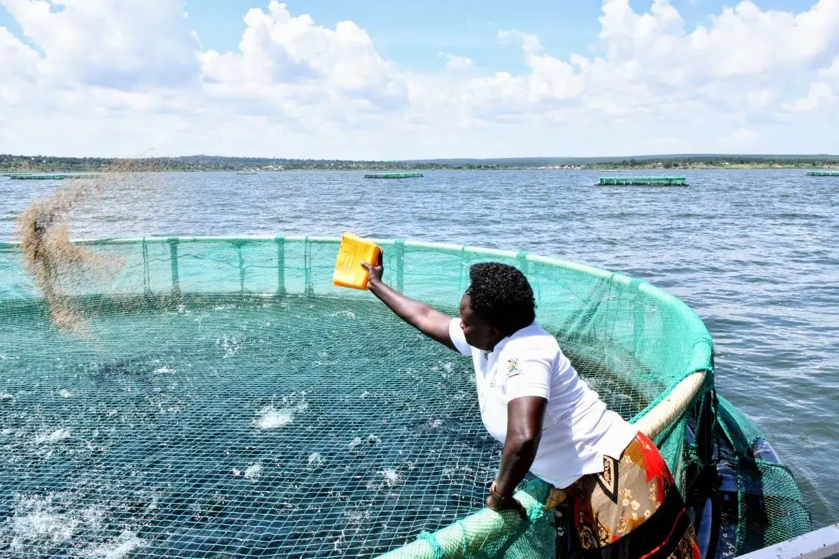 Why fish and fisheries may be Africa's most overlooked food security solution 1 food security fishing