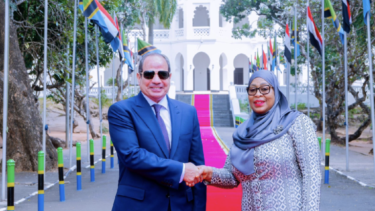 The $24 million question: Can Tanzania close its trade deficit with Egypt? Tanzania and Egypt