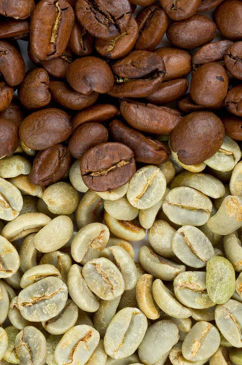 Coffee Industry in Tanzania